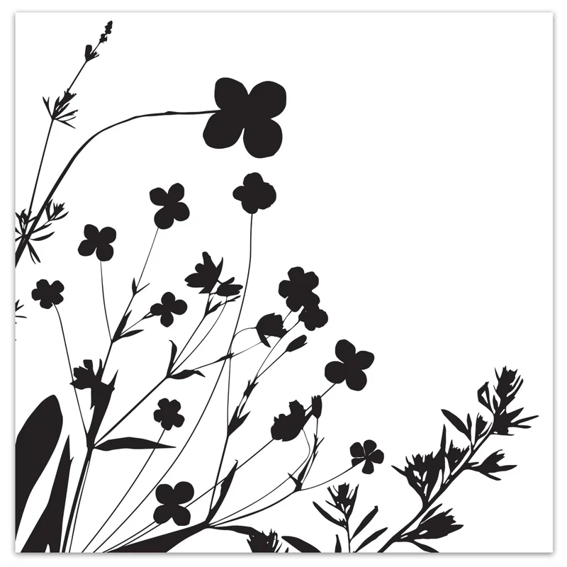 ecoqualityinc2088628