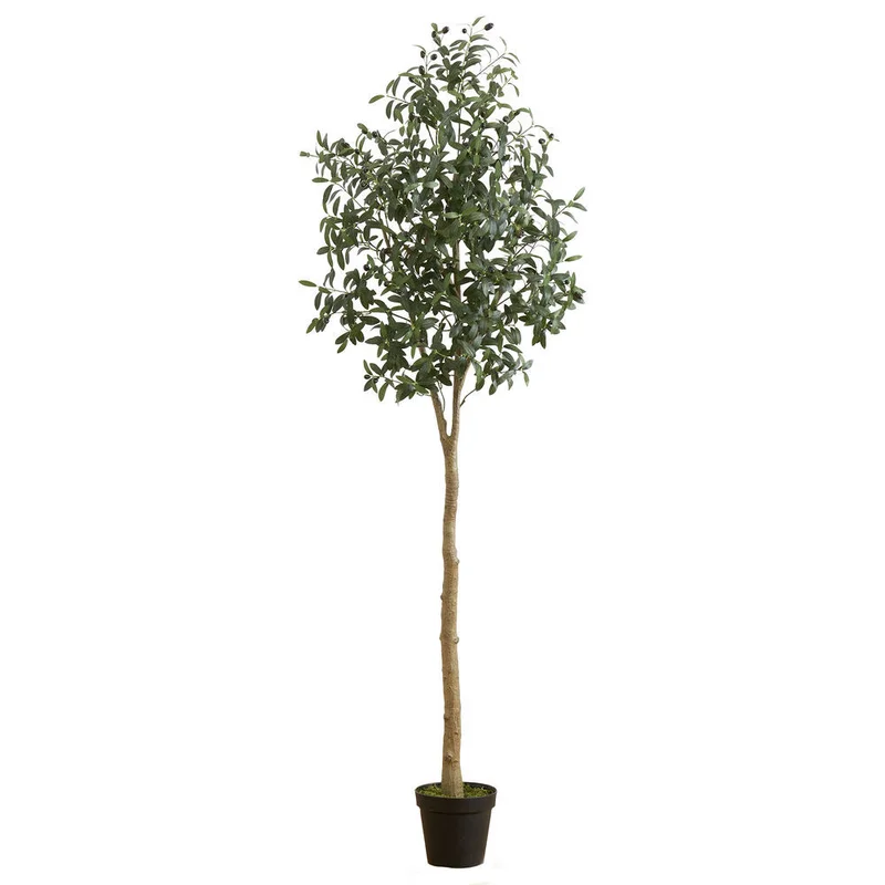 hubert3556131