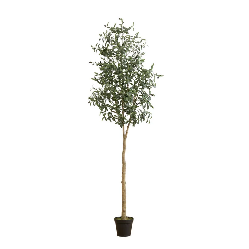 hubert3556147