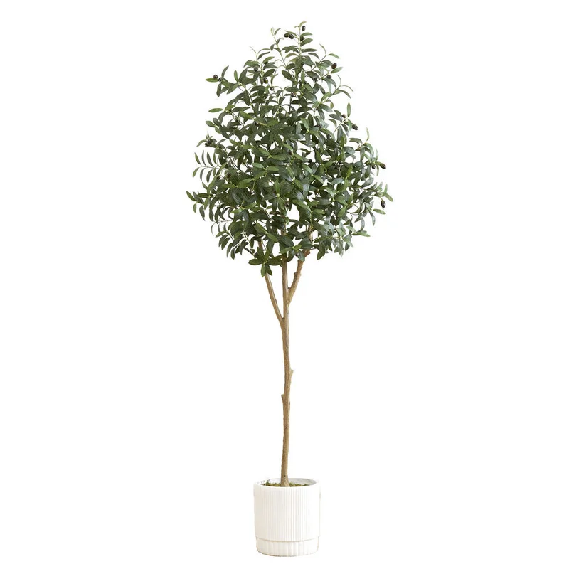 hubert3556335