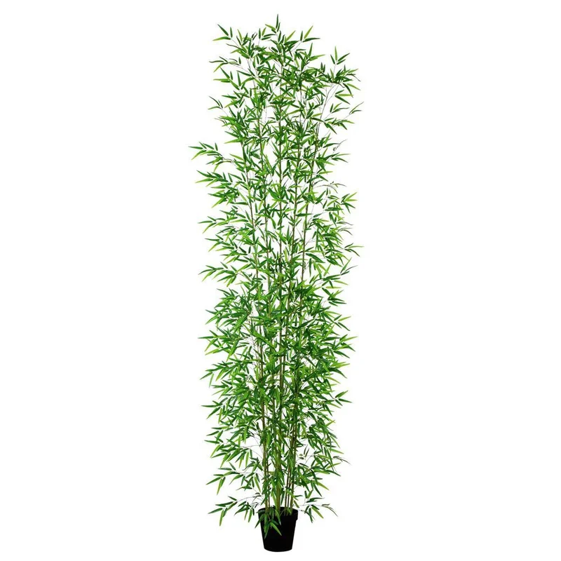 hubert3558004