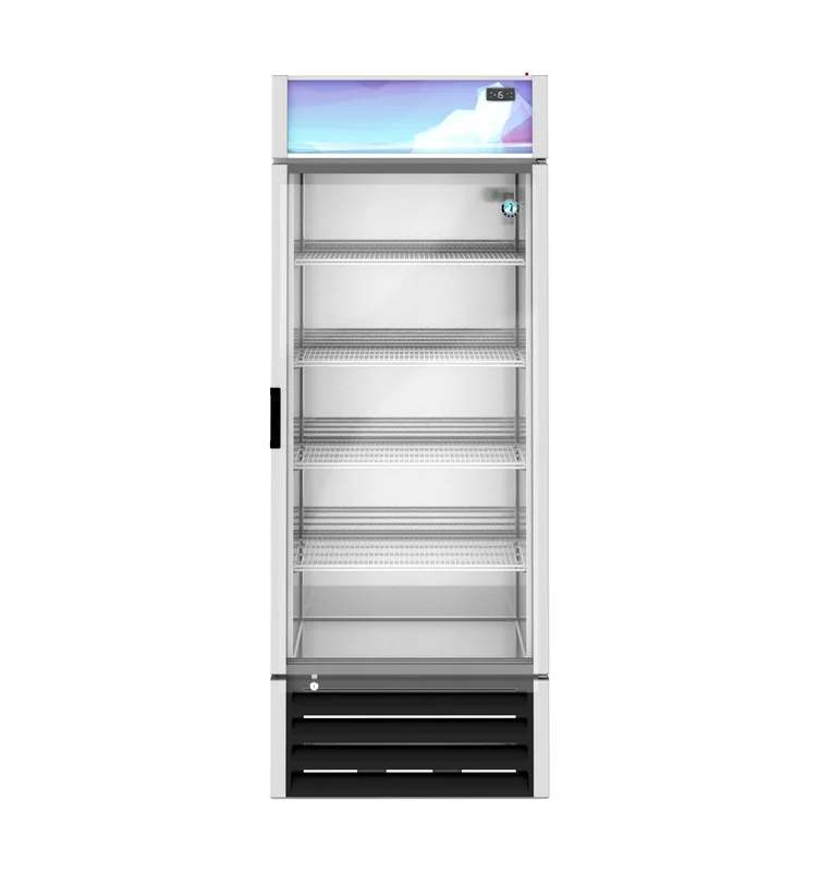 icemachinesplus2163714