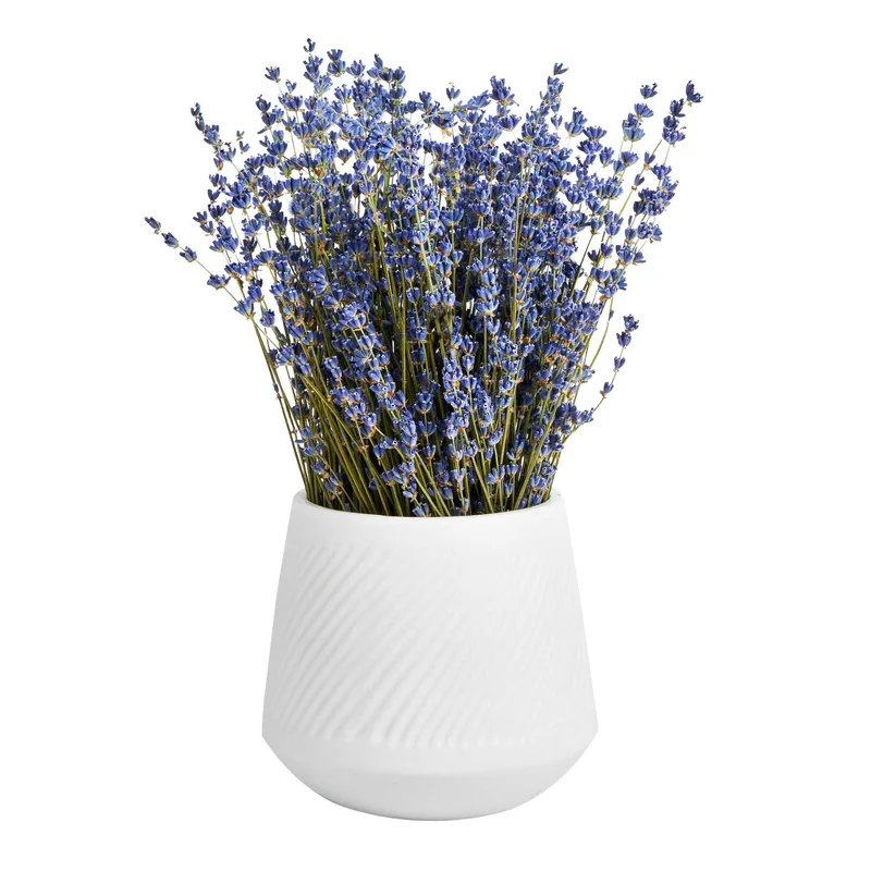 restaurantware2177676